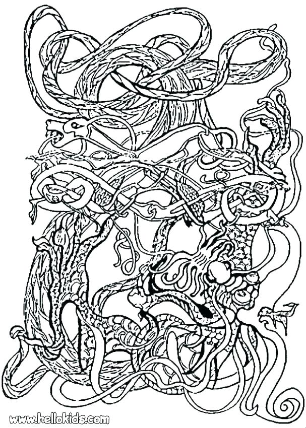 607x850 Celtic Knot Coloring Pages Medium Size Of Knot Coloring Pages Page