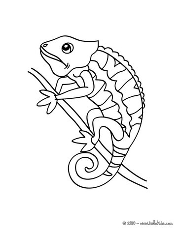 Free Printable Chameleon Coloring Pages