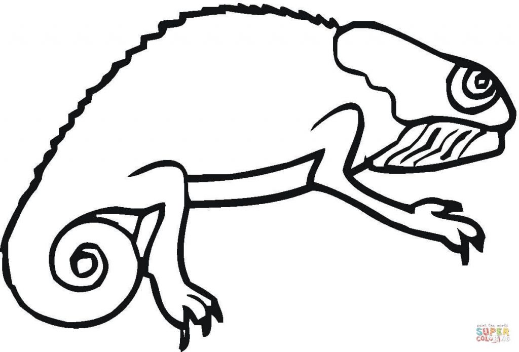 1024x695 Chameleon Coloring Page