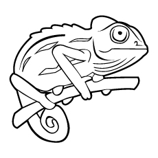 230x230 Chameleon Coloring Pages