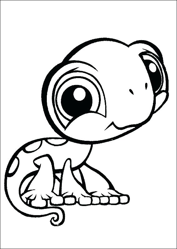 567x794 Chameleon Coloring Pictures Pin Drawn Chameleon Free Printable