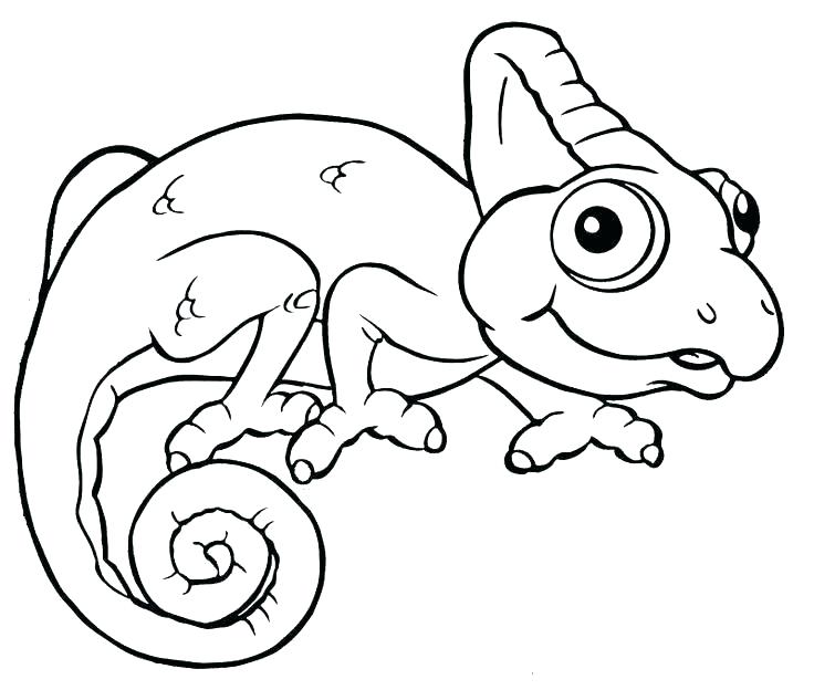 736x624 Chameleon Pictures To Color Chameleon Coloring Page Free Printable