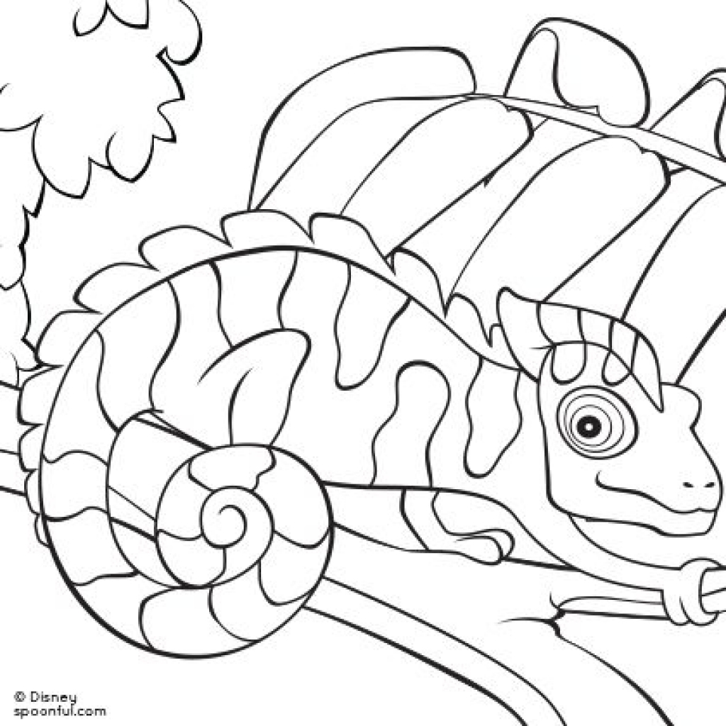 1024x1024 Leo Lionni Coloring Pages Chameleon Coloring Pages Free Printables