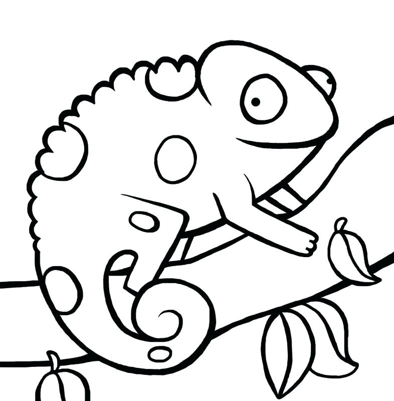 786x800 Chameleon Coloring Pages Shippa.co