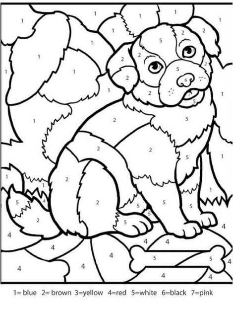 Color By Number Coloring Books For Adults Dog 470x630 Color By Number Coloring Books For Adults Dog