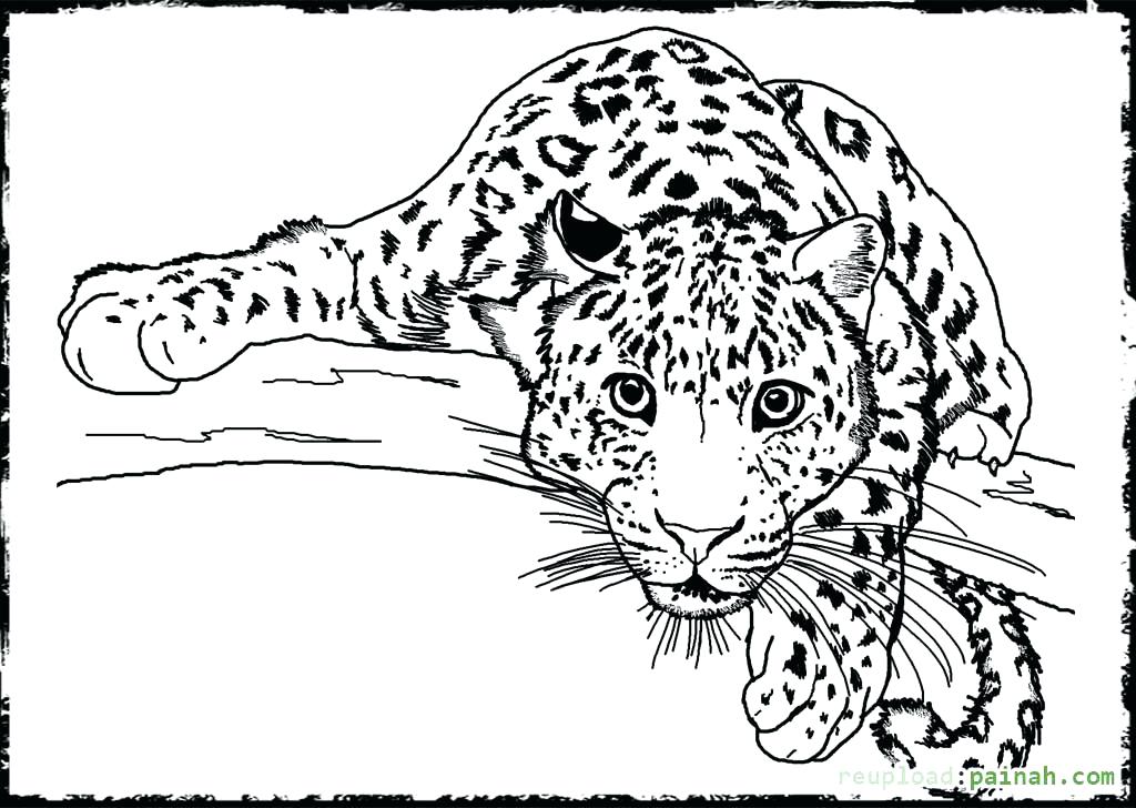 1024x728 Detailed Coloring Pages Impair.co