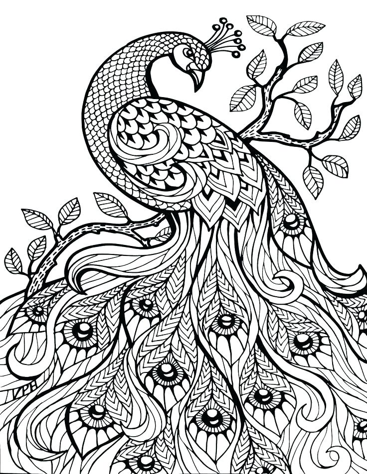 Free Printable Coloring Pages For Adults Advanced