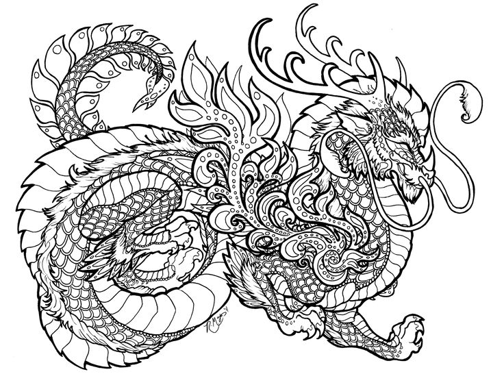 Advanced Dragon Coloring Pages 736x546 Advanced Dragon Coloring Pages