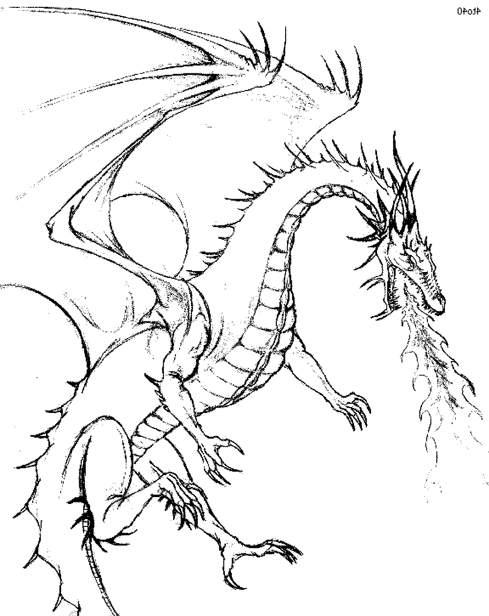 Love Dragon Colouring Pictures Free Printable Coloring Pages 1000x1259 Love Dragon Colouring Pictures Free Printable Coloring Pages