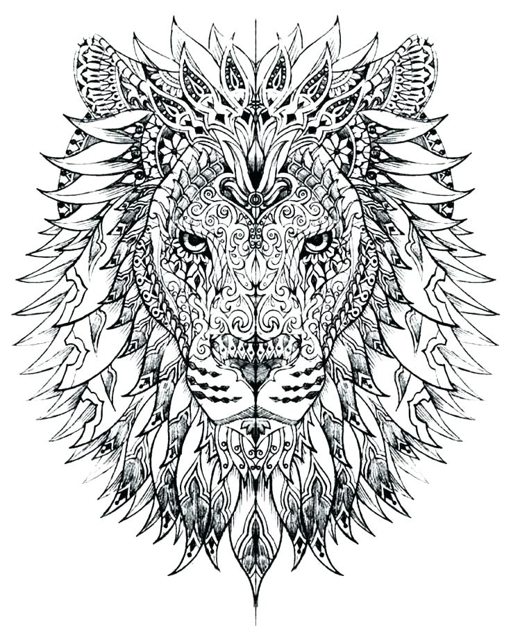 736x901 Advanced Coloring Pages Advanced Animal Coloring Pages Adult