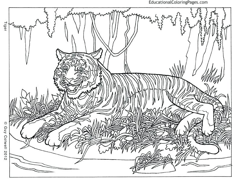 792x612 Animals Color Pages Hard Coloring Pages Of Animals Color Bros