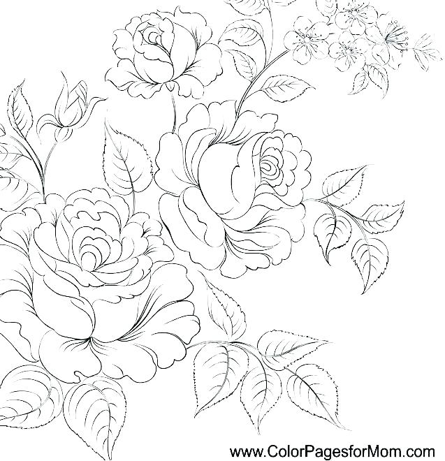 637x660 Free Printable Flower Coloring Pages For Adults Also Flowers