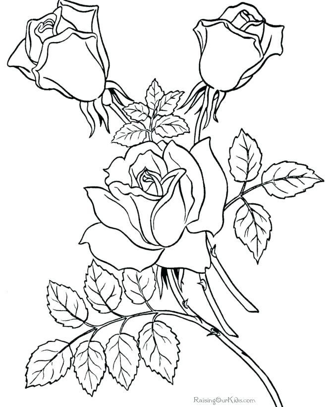 670x820 Printable Flower Coloring Pages For Adults Ideas Free Printable