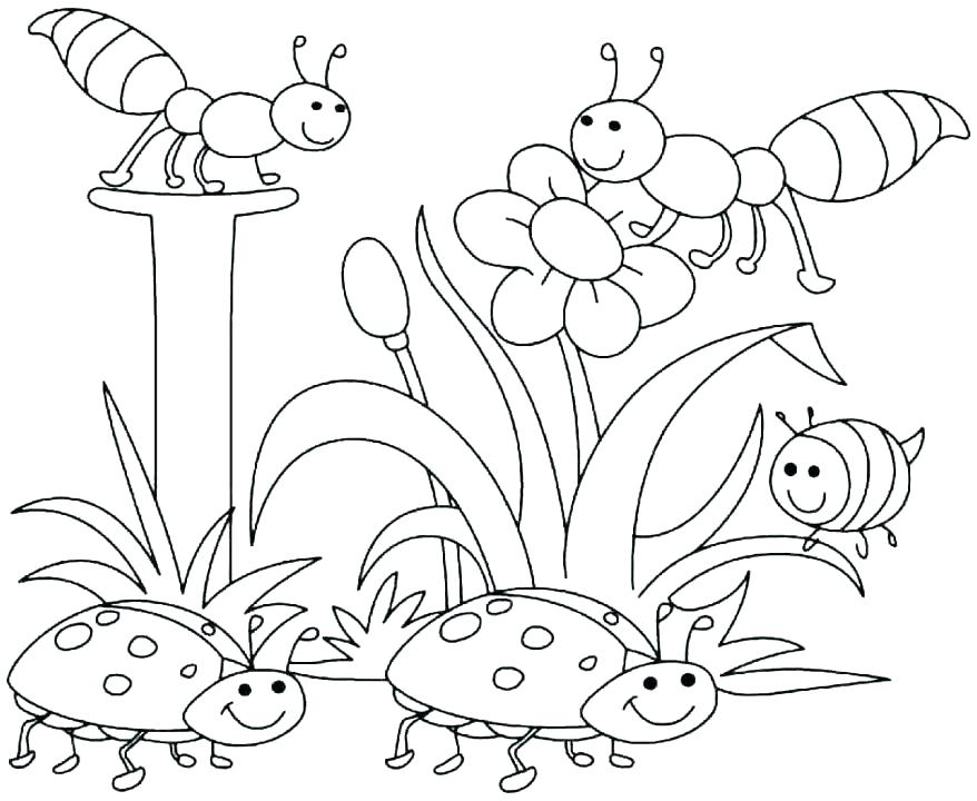 Coloring Pages Kindergarten Kindergarten Coloring Pages Free 878x720 Coloring Pages Kindergarten Kindergarten Coloring Pages Free