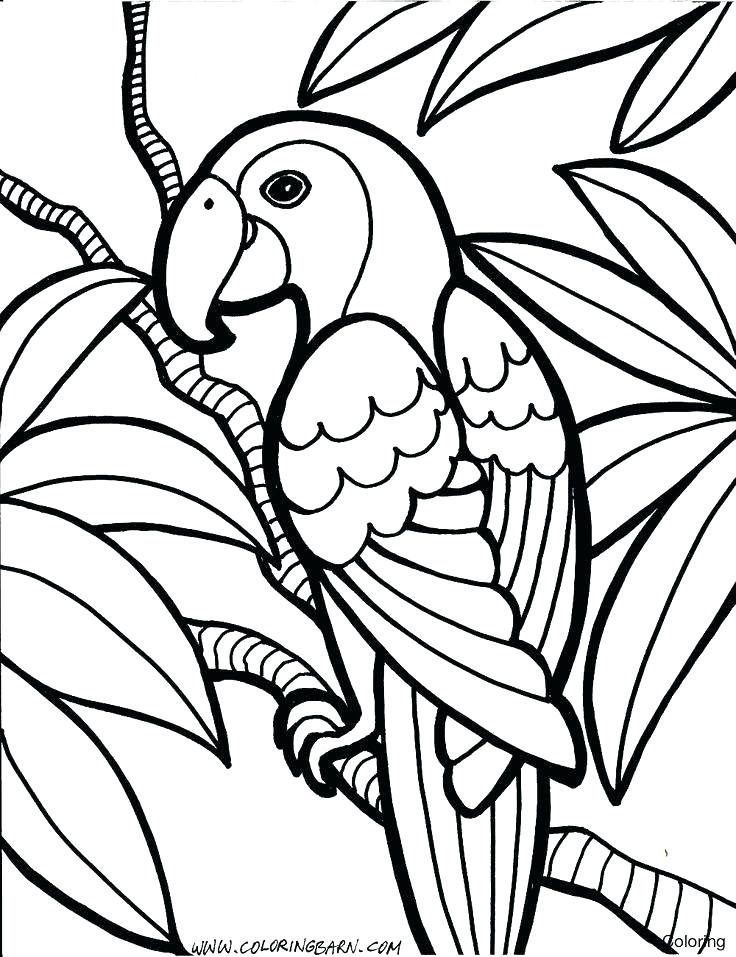 736x957 Childrens Printable Coloring Pages Coloring Pages To Print Free