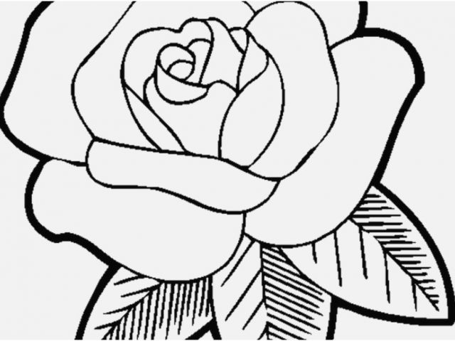 Free Printable Coloring Pages For Girls Design Easy Coloring Pages 640x480 Free Printable Coloring Pages For Girls Design Easy Coloring Pages