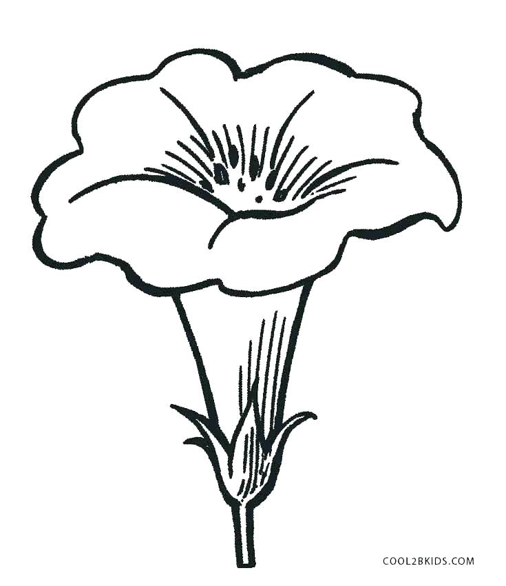 735x850 Coloring Pages Of A Flower 8 Coloring Pages Of A Flower Coloring