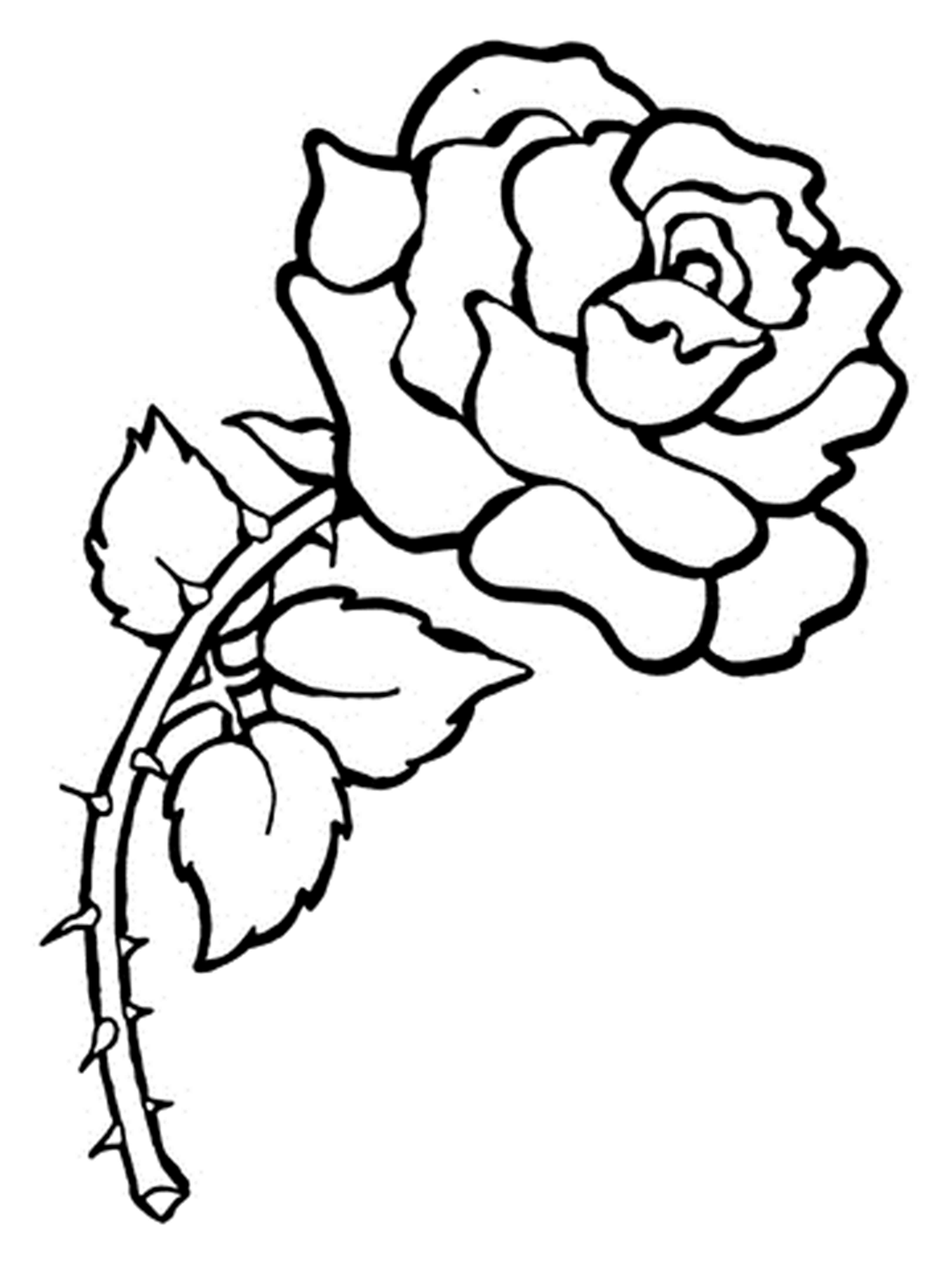 3240x4320 Free Printable Flower Coloring Pages For Kids