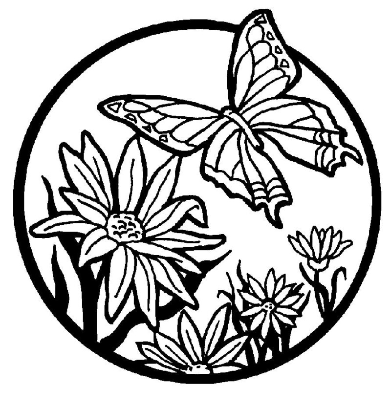 800x835 Free Printable Coloring Pages Flowers And Butterflies Coloring