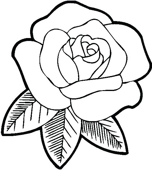 520x581 Free Printable Flowers Colouring Pages