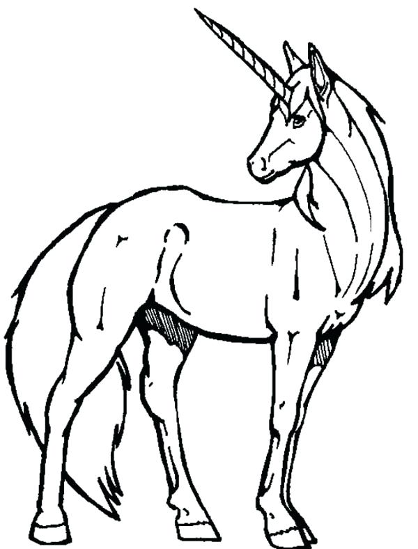 Coloring Pages Of Unicorns Unicorn Color Pages Unicorn A Realistic 600x788 Coloring Pages Of Unicorns Unicorn Color Pages Unicorn A Realistic