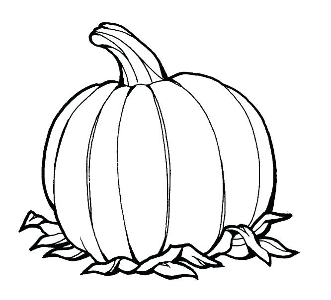 666x605 Pumpkin Coloring Pattern Pumpkin Coloring Page Pumpkin Coloring