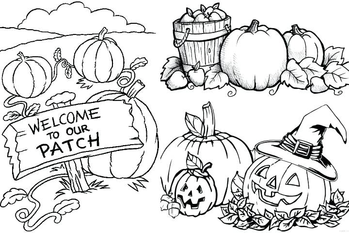 720x480 Coloring Pages Pumpkin Pumpkin Patch Coloring Page Pumpkin