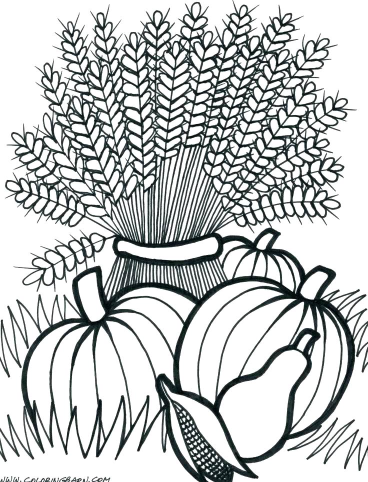 736x964 Cornucopia Pictures To Color Free Free Cornucopia Coloring Page