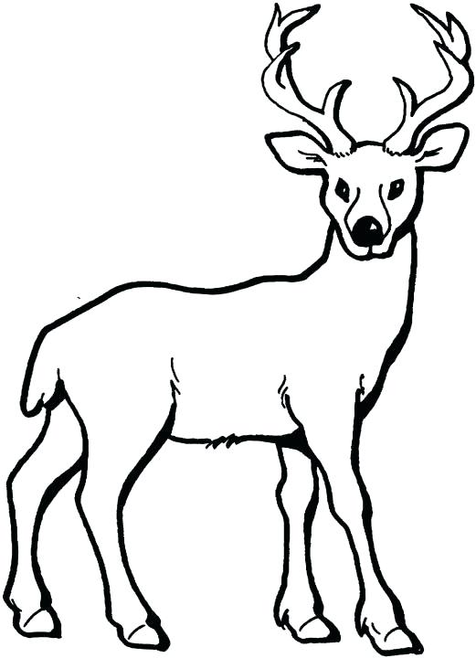 521x720 Deer Hunting Coloring Pages Strange Deer Coloring Sheets Color