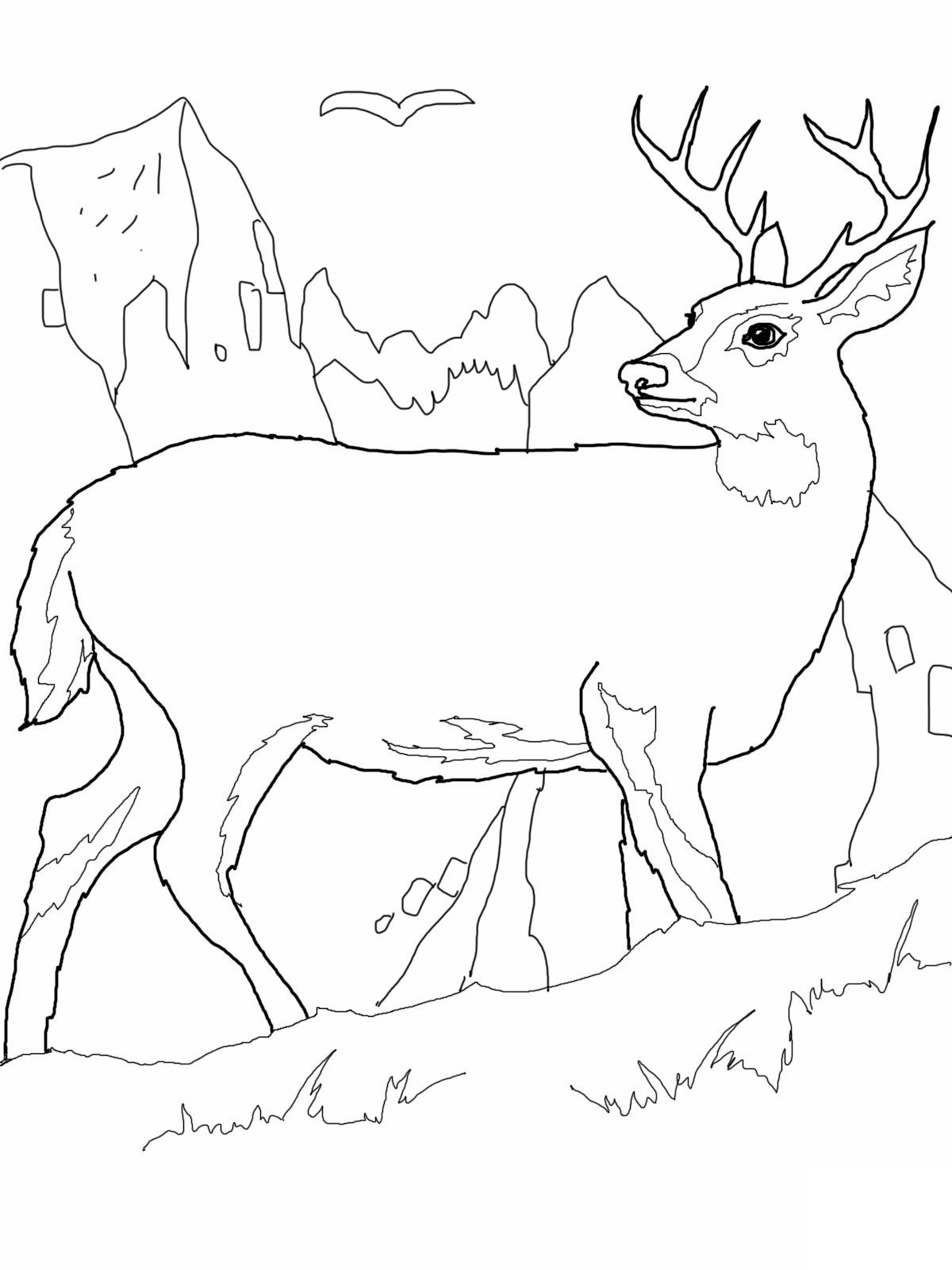 1200x1600 Free Printable Deer Coloring Pages For Kids Coloring Pages