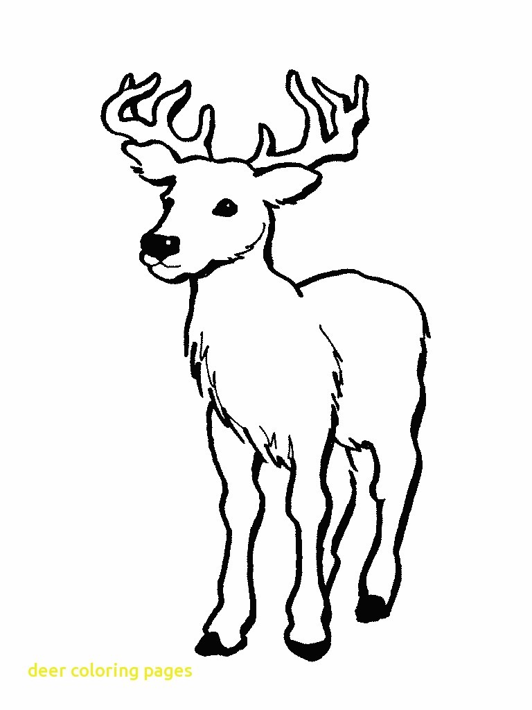 768x1024 Nice Printable Deer Pictures Free Coloring Pages New