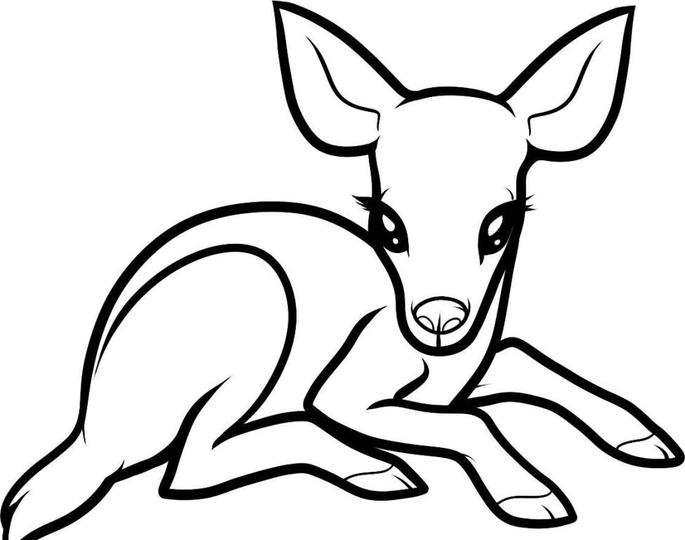 975x768 Pictures Of Deer To Color Printable Deer Coloring Pages Fitfru