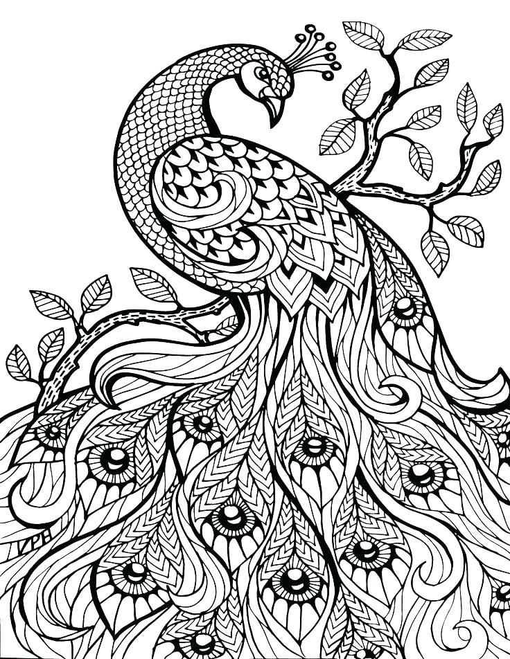 Mandala Art Coloring Pages Splendid Ideas Free Printable Mandala 736x952 Mandala Art Coloring Pages Splendid Ideas Free Printable Mandala