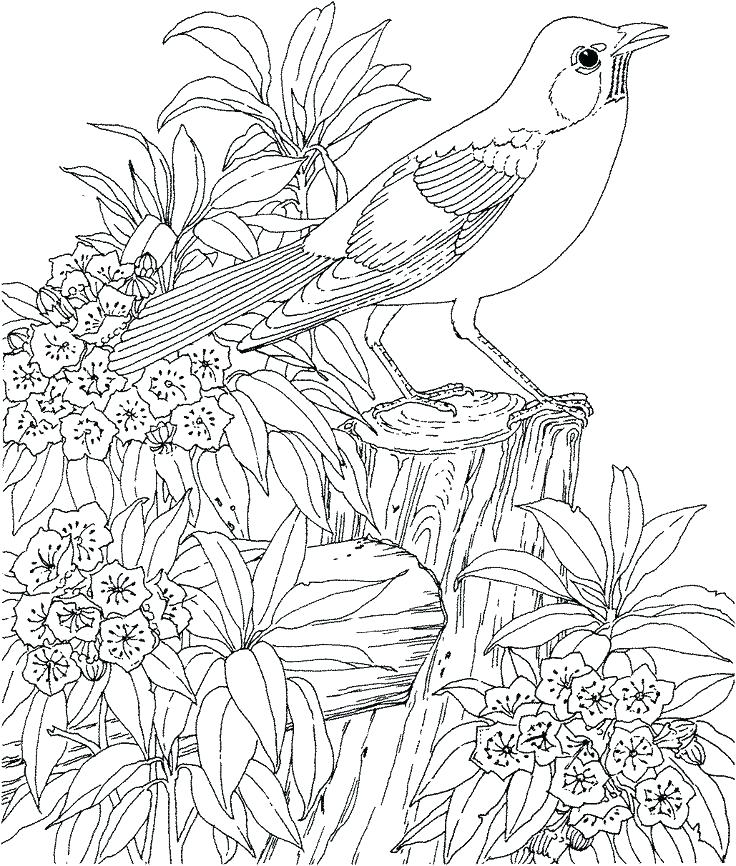 Hard Coloring Page Free Printable Hard Coloring Pages Adult 736x866 Hard Coloring Page Free Printable Hard Coloring Pages Adult