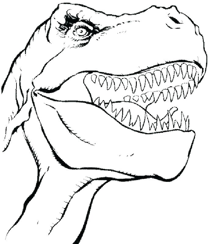 699x800 Dinosaurs Coloring Pages Free Dinosaur Coloring Page Saurs