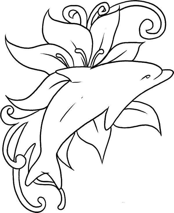 600x736 Dolphin Coloring Pages Print Out Dolphin Coloring Pages Free