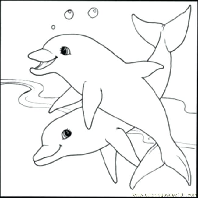 650x650 Free Dolphin Coloring Pages Printable Pictures Of Dolphins Free