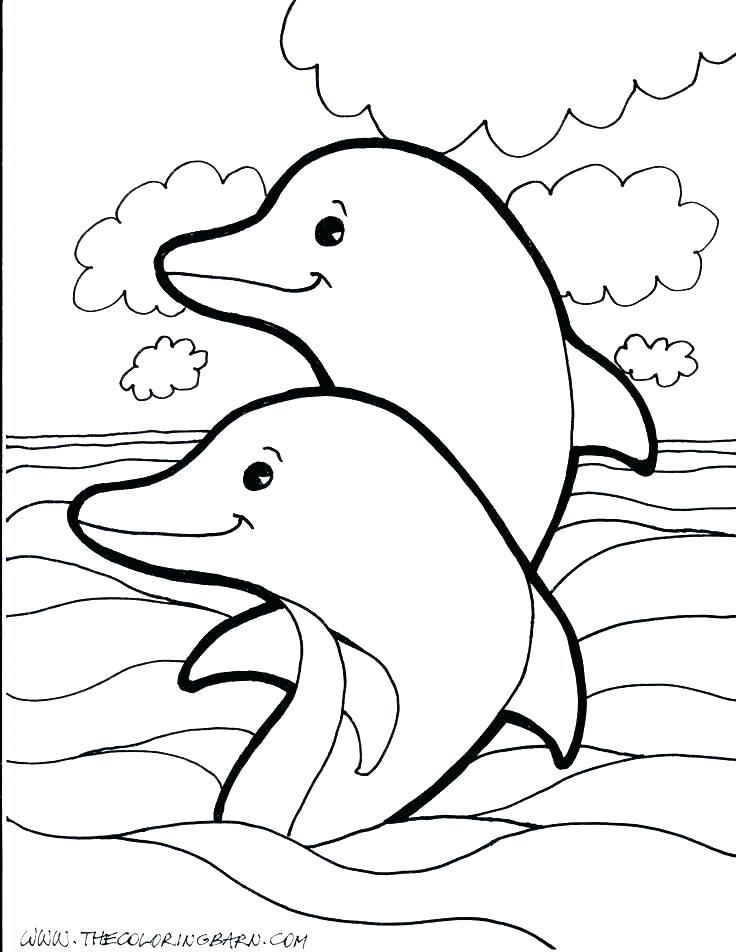 736x952 Free Printable Dolphin Coloring Pages Printable Dolphin Coloring