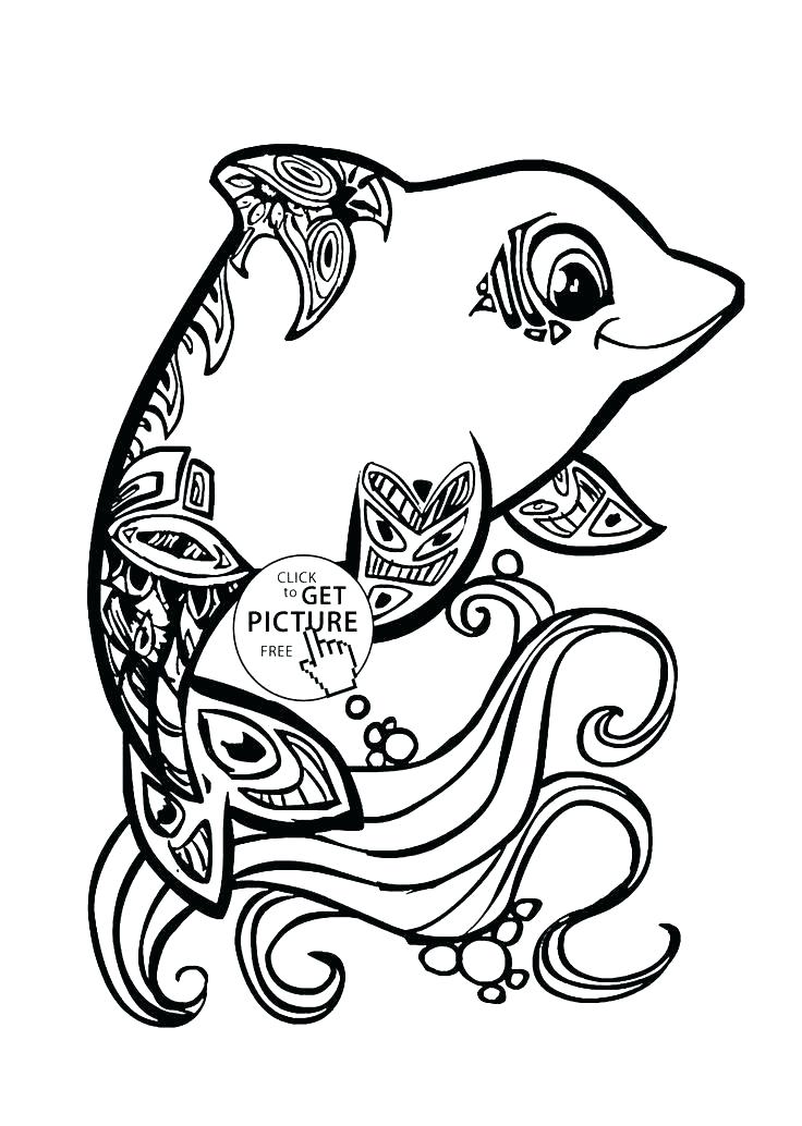 736x1034 Printable Dolphin Coloring Pages Plus Free Printable Dolphin
