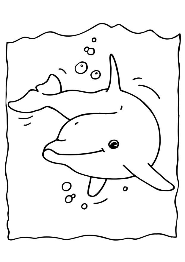 622x880 Dolphin Coloring Page Fresh Free Printable Dolphin Coloring Pages