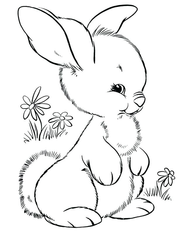 Easter Bunny Coloring Pages Detail Bunny Coloring Page Easter 650x790 Easter Bunny Coloring Pages Detail Bunny Coloring Page Easter