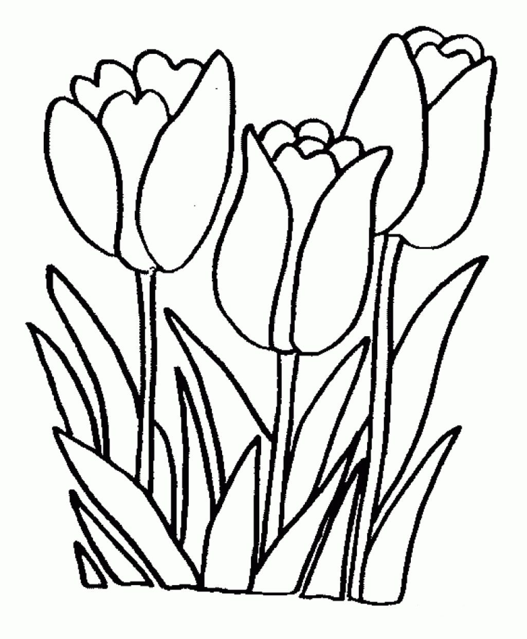 1025x1243 Coloring Pages Flower Free Printable Easy Lovely Acpra