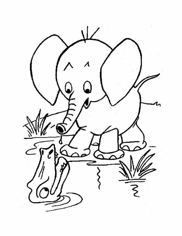 610x790 Download Free Printable Baby Elephant Coloring Pages To Color