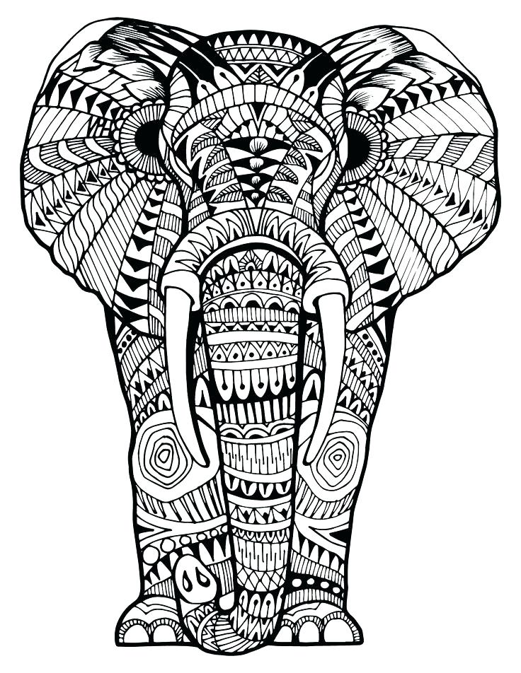 736x952 Free Elephant Coloring Pages Free Elephant Coloring Pages Elephant