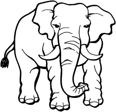 370x360 24 Best Y Blank Pattern Elephants Images On Coloring