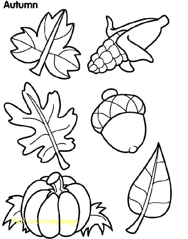 601x762 Fall Color Pages Printable Free Free Printable Fall Coloring Pages