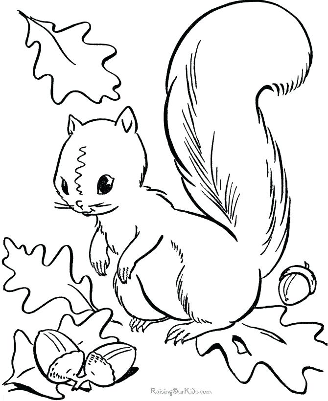 670x820 Inspirational Printable Fall Coloring Pages For Kids Free Squirrel