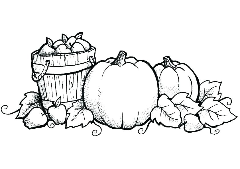 842x595 Thanksgiving Leaves Coloring Pages Leaf Coloring Pages Autumn Leaf