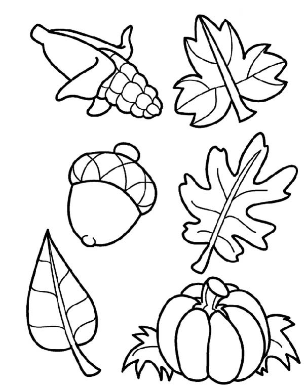 600x761 Astonishing Harvest Coloring Pictures Page Free Online