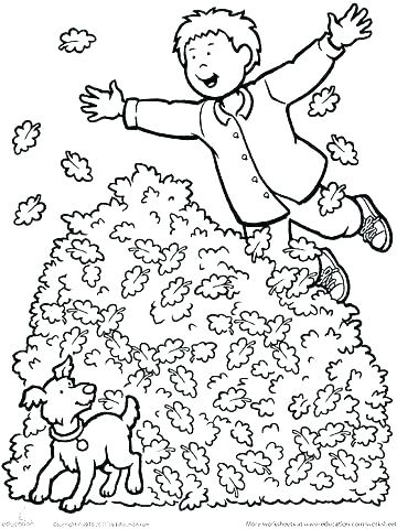 360x480 Harvest Coloring Pages Printables Autumn Harvest Coloring Page